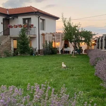 Anika Guest house